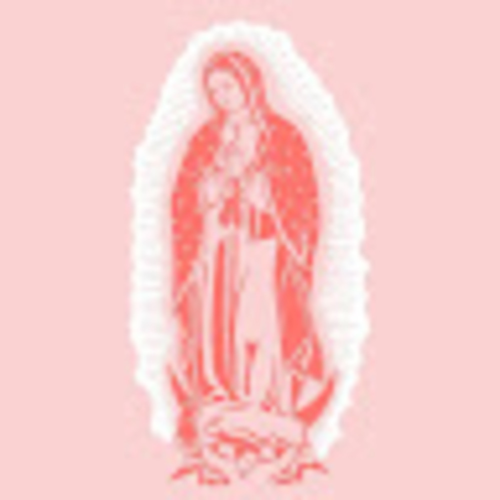 Meet your Posher, Xiomara